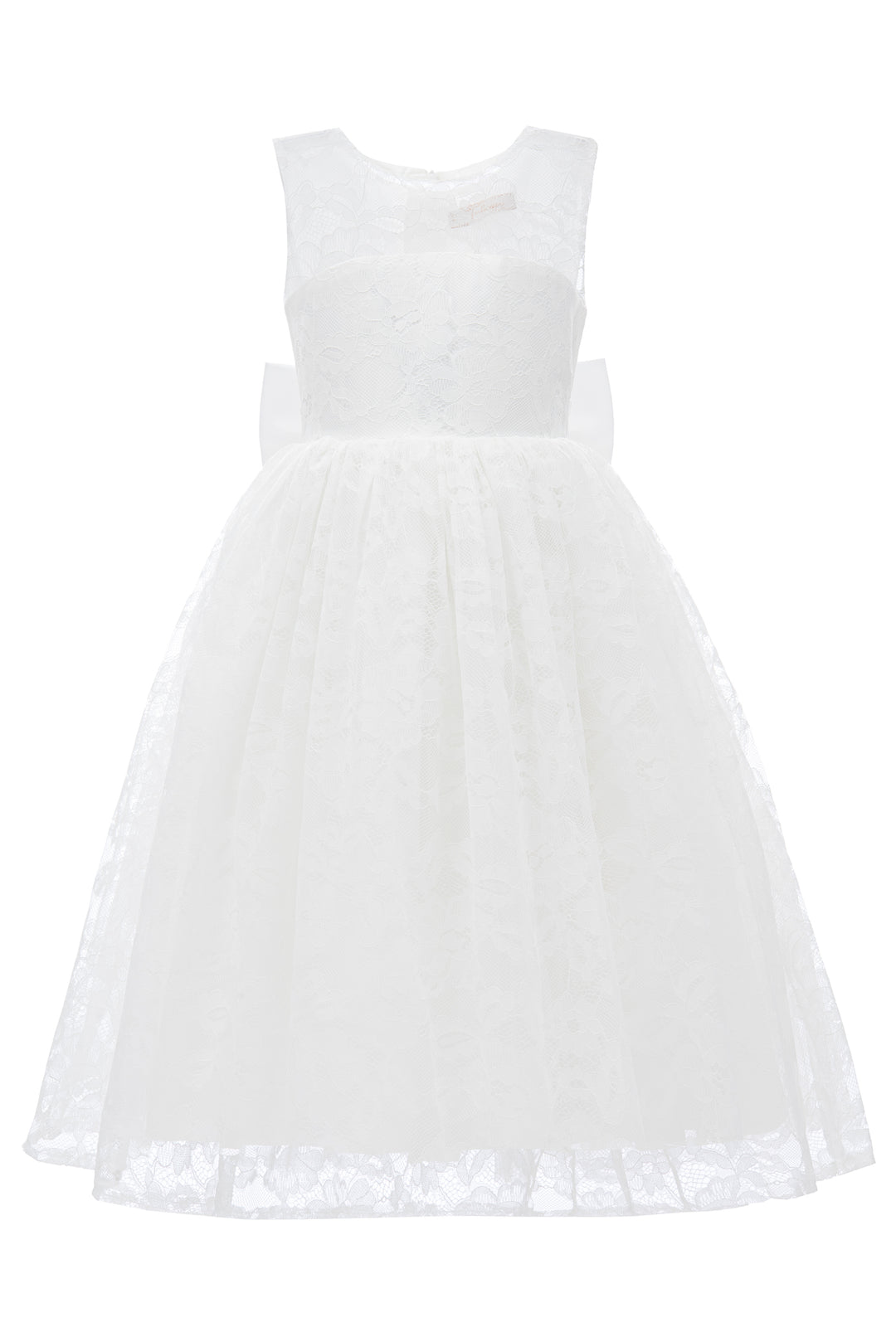 White Rossemere Lace Embroidered Tulle Dress