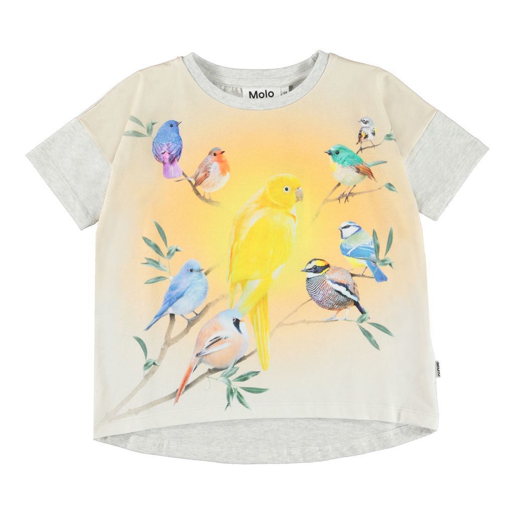 kids-atelier-molo-kid-girl-grey-raessa-solar-birds-t-shirt-2w22a213-7842