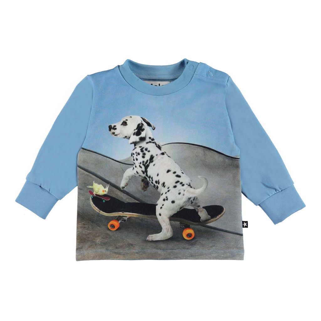 kids-atelier-molo-children-boy-skate-puppy-t-shirt-3s22a406-7658-skate-puppy