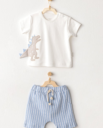 Blue Shorts Dinosaur Shirt Outfit Set