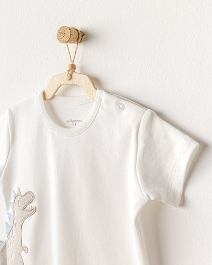 Blue Shorts Dinosaur Shirt Outfit Set