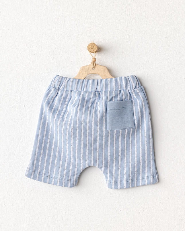 Blue Shorts Dinosaur Shirt Outfit Set