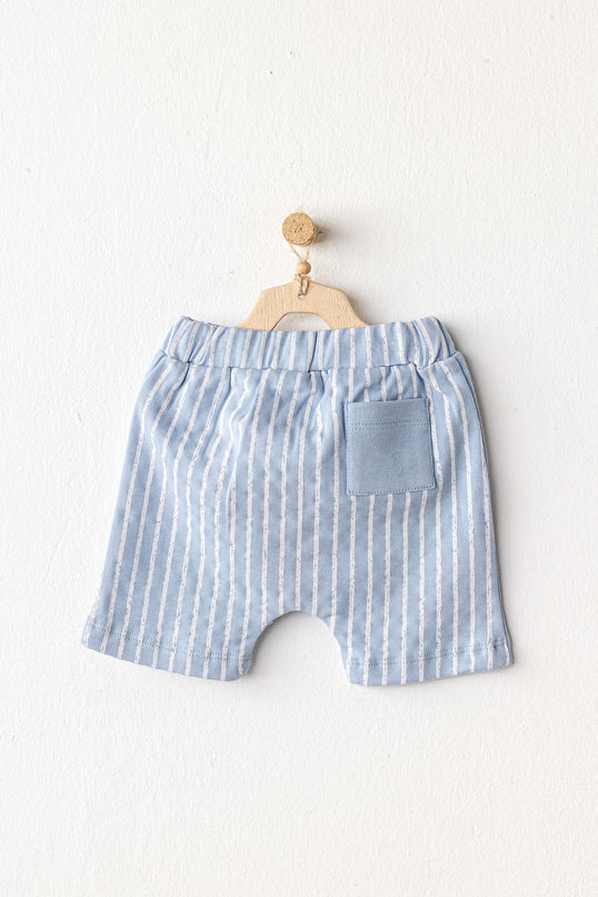 Blue Shorts Dinosaur Shirt Outfit Set