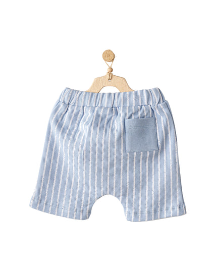 kidsatelier-andywawa-Blue-Shorts-Dinosaur-Shirt-Outfit-Set