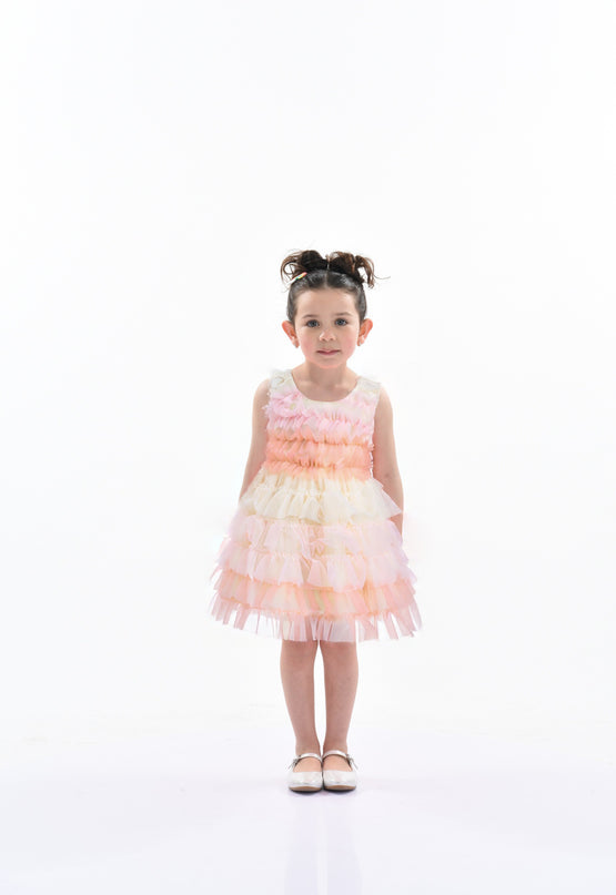 Pink Ruffle Layered Tulle Dress
