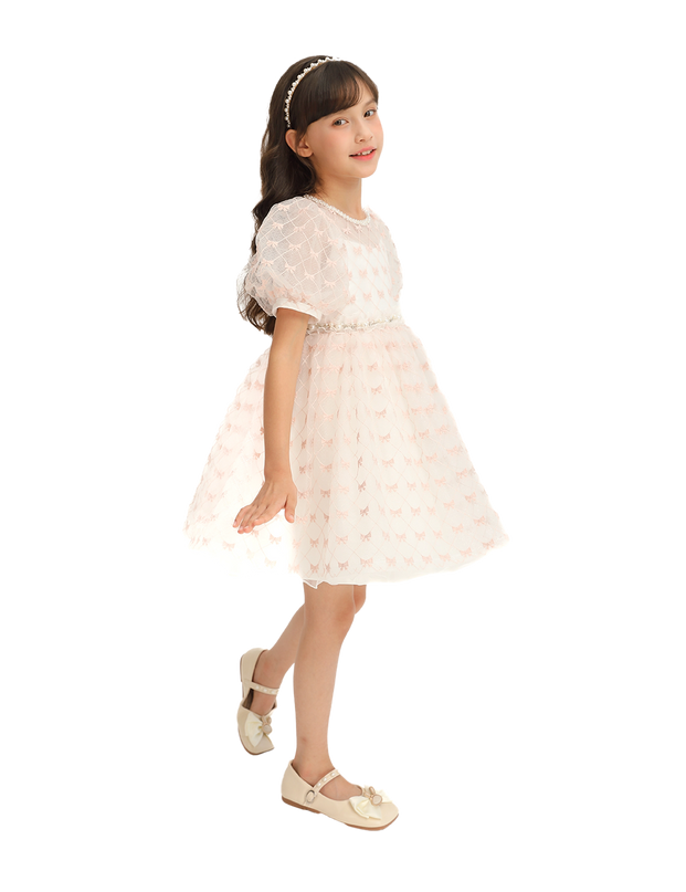 Ivory Pink Accented Tulle Fontana Dress