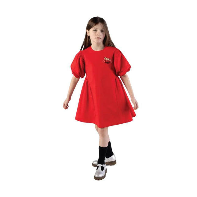 kids atelier kenzo 'Lunar New Year' Embroidered Dress in Poplin