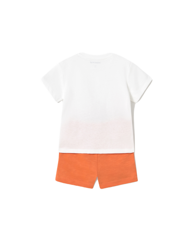 Baby Shorts and Surf T-Shirt Set