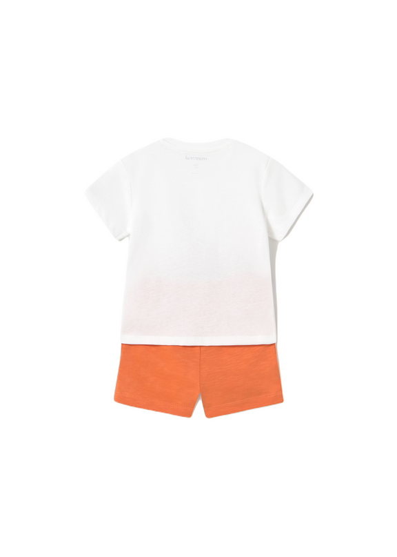 Baby Shorts and Surf T-Shirt Set