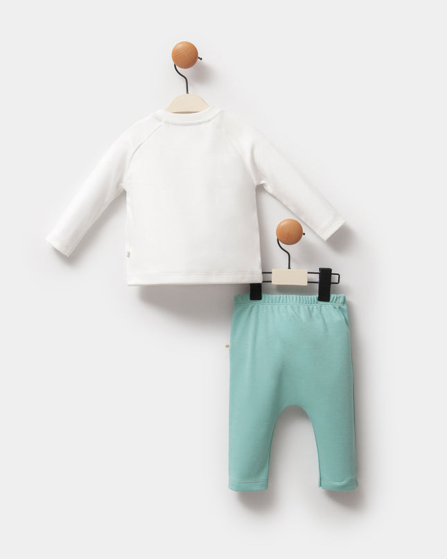 Teal Tiger Outfit Set