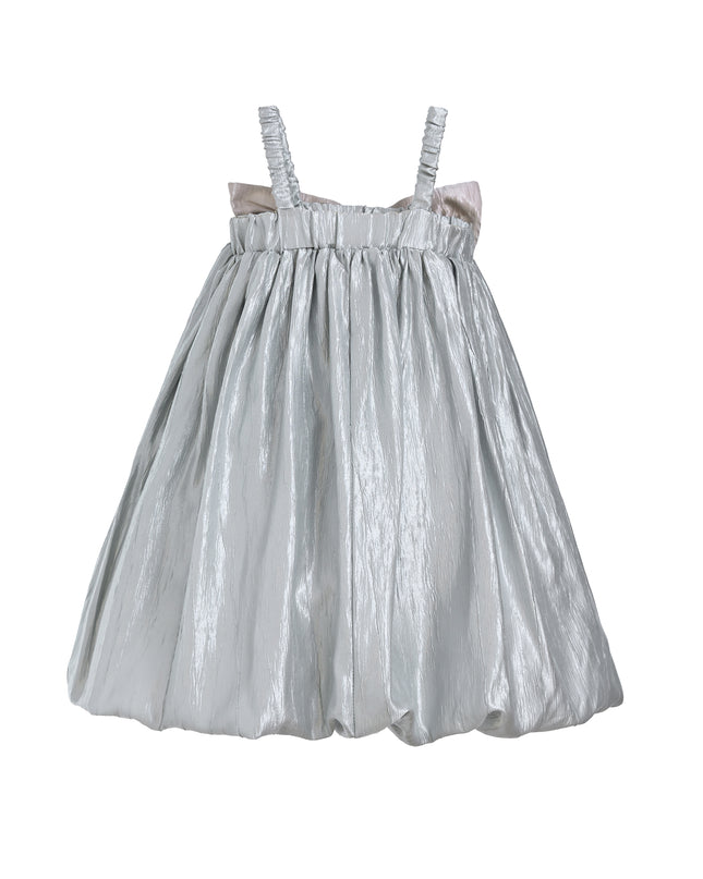 Silver Shining Satin Dress