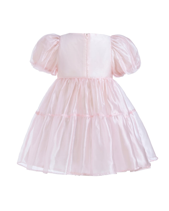 Blush Satin Elianna Dress