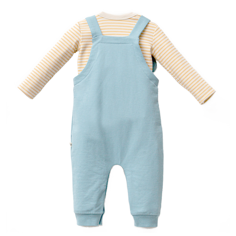 Blue Tiger Overalls Outfit