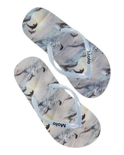 Kids Atelier-Molo-Dolphins Sunset-Flip flops