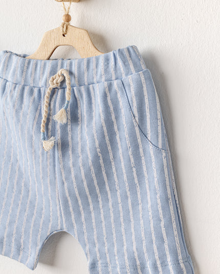 Blue Shorts Dinosaur Shirt Outfit Set