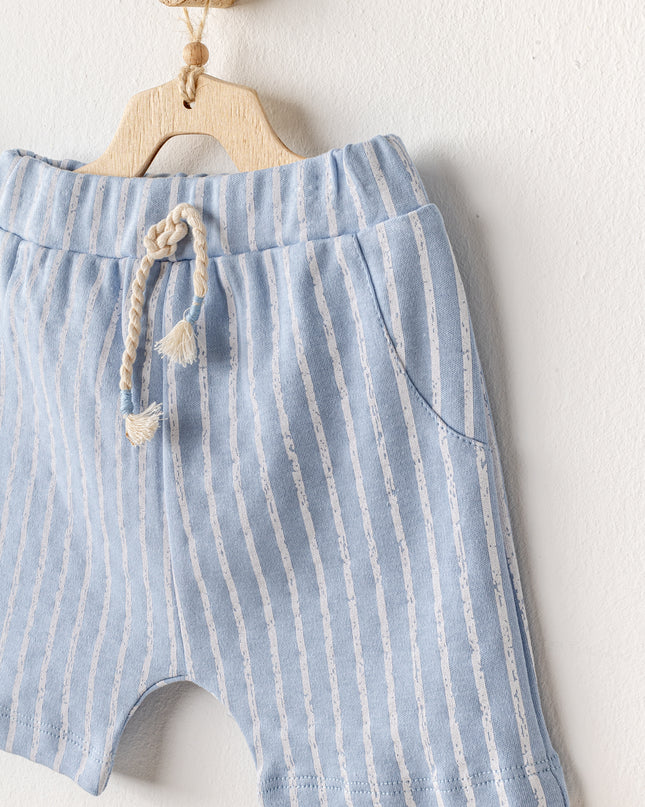 Blue Shorts Dinosaur Shirt Outfit Set