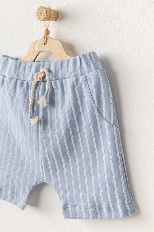 Blue Shorts Dinosaur Shirt Outfit Set