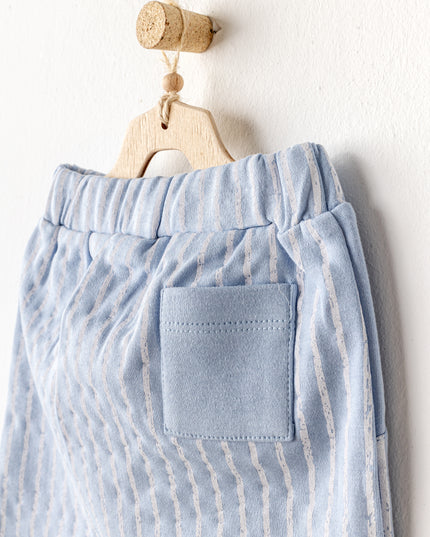 Blue Shorts Dinosaur Shirt Outfit Set