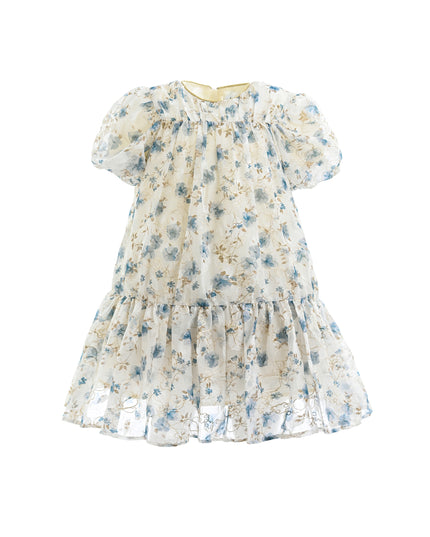 Blue Vienna Floral Dress