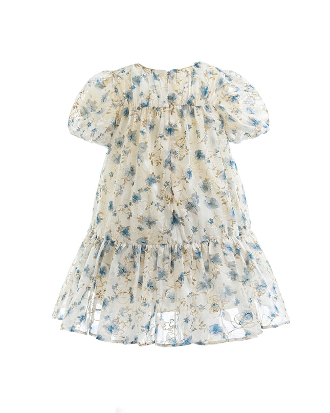 Blue Vienna Floral Dress