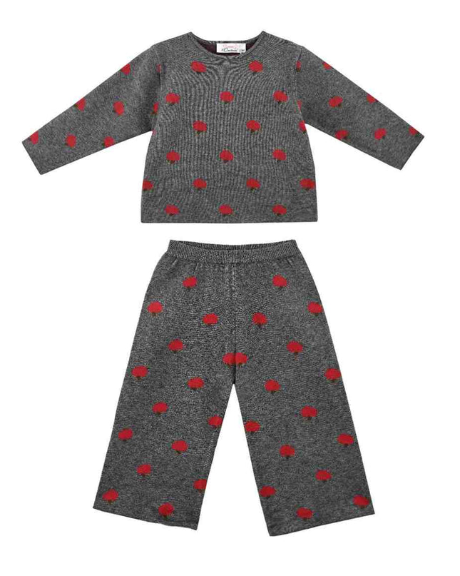 kids atelier sweet cactus Gray Apple Knit Set