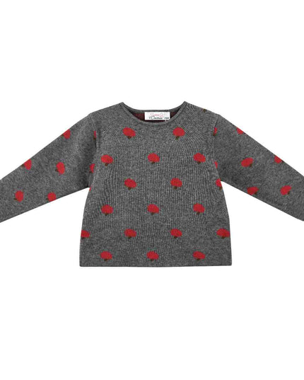 kids atelier sweet cactus Gray Apple Knit Set