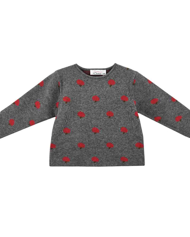 kids atelier sweet cactus Gray Apple Knit Set