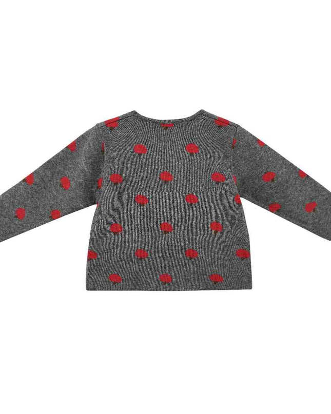 kids atelier sweet cactus Gray Apple Knit Set