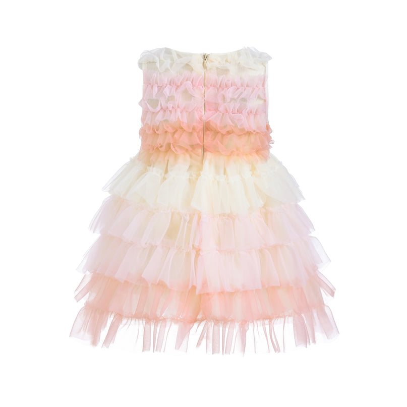 Pink Ruffle Layered Tulle Dress