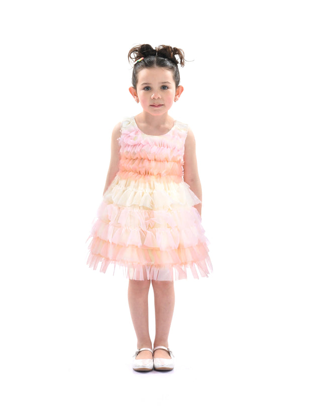 Pink Ruffle Layered Tulle Dress