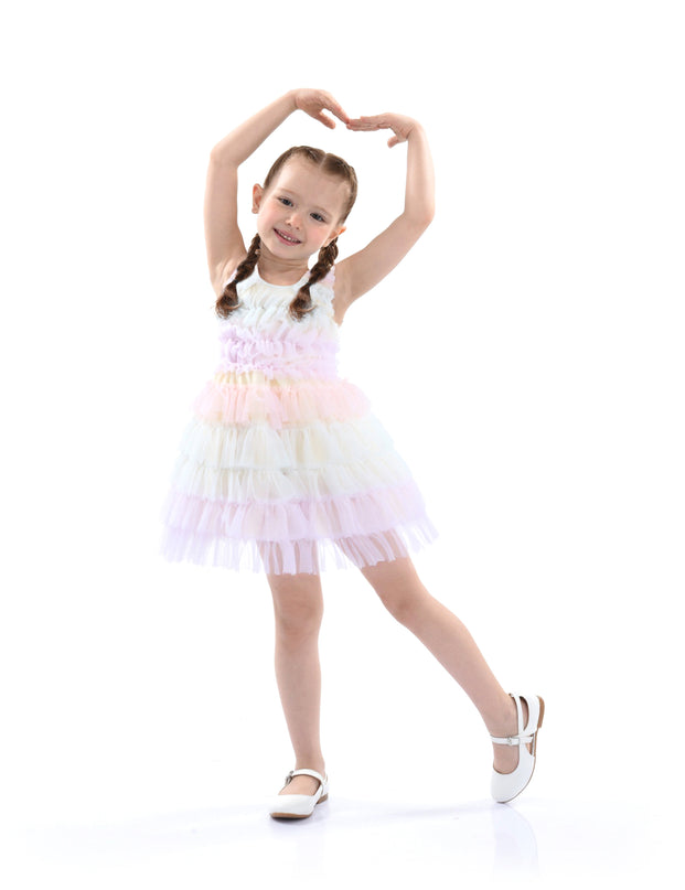 Purple Ruffle Layered Tulle Dress