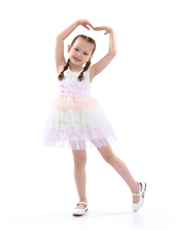 Purple Ruffle Layered Tulle Dress