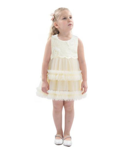 Ivory Flower Layered Tulle Dress