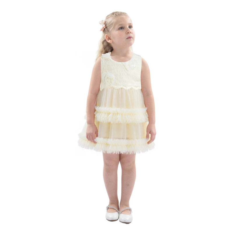 Ivory Flower Layered Tulle Dress