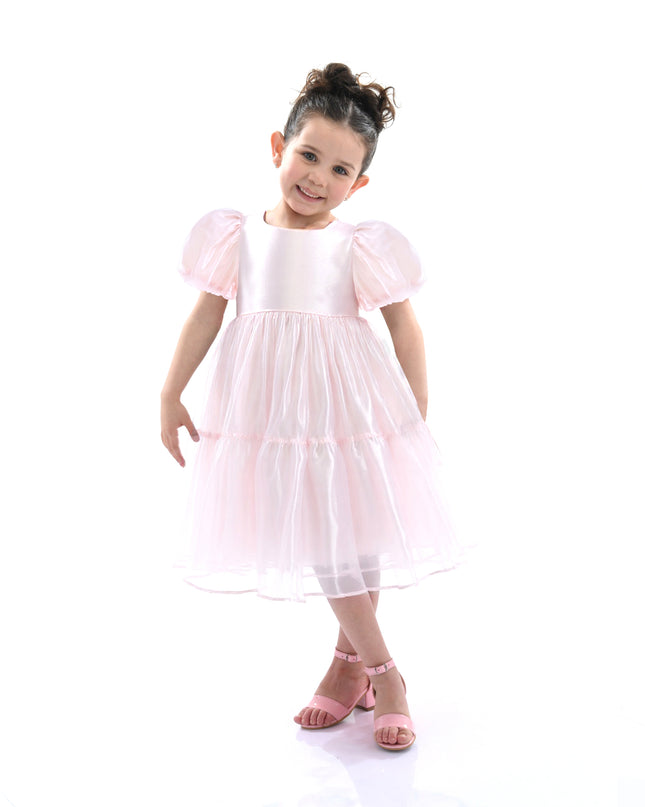 Blush Satin Elianna Dress