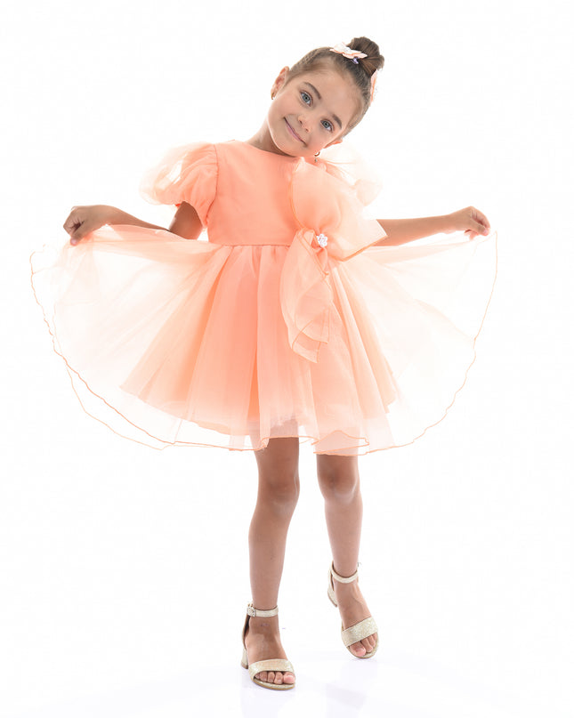 peach organza dress Dolly J Dusty Peach Organza Gown