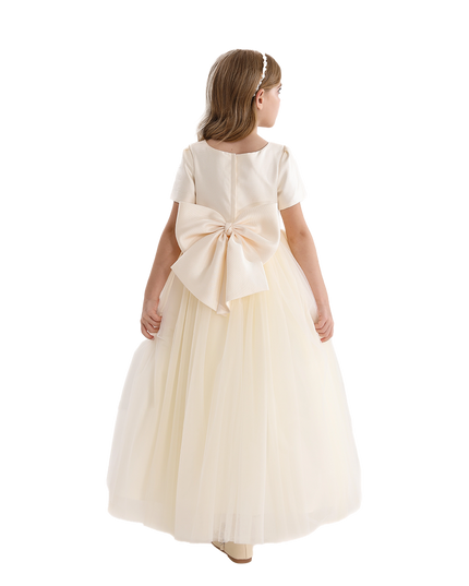 Ivory Accented Yvette Dress