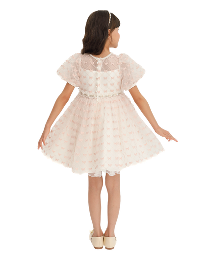 Ivory Pink Accented Tulle Fontana Dress
