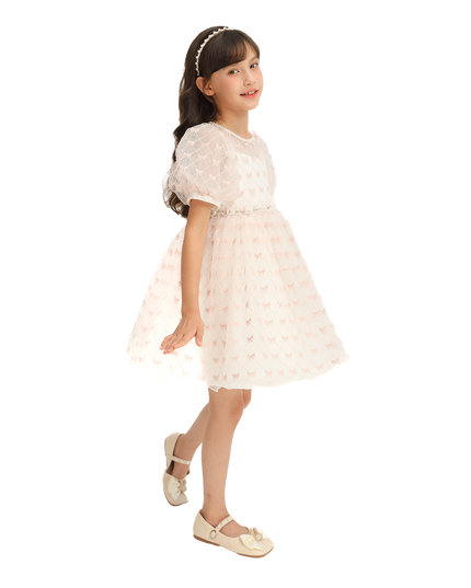 Ivory Pink Accented Tulle Fontana Dress