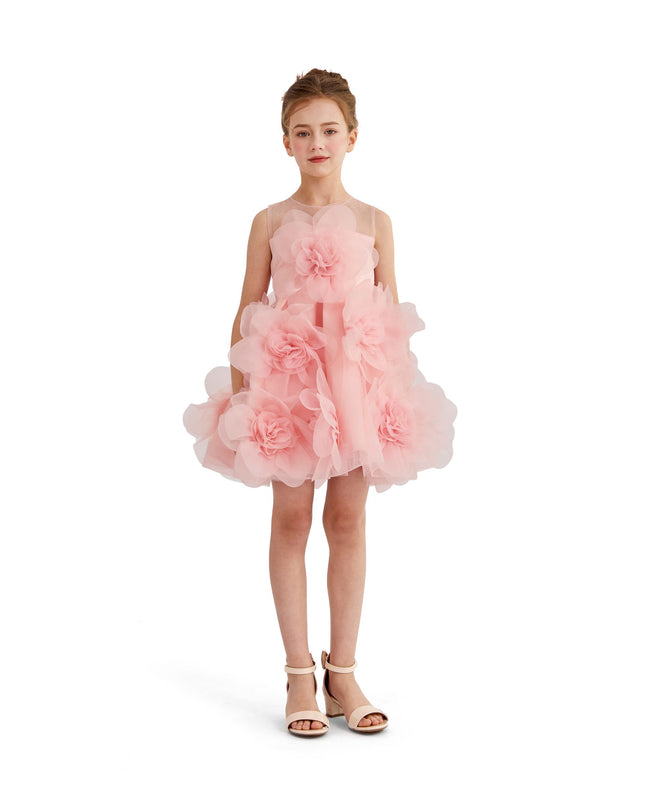kids atelier tulleen Rose Briellea Embellished Sleeveless Dress