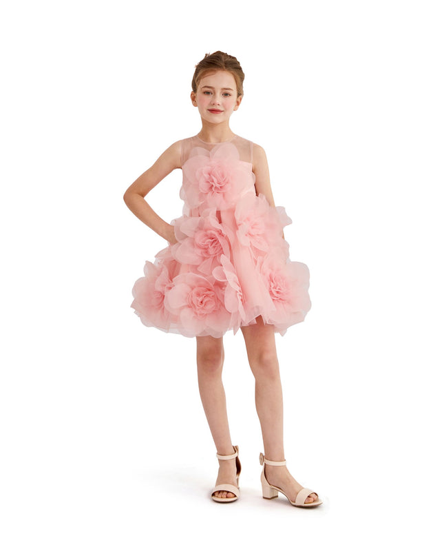 kids atelier tulleen Rose Briellea Embellished Sleeveless Dress