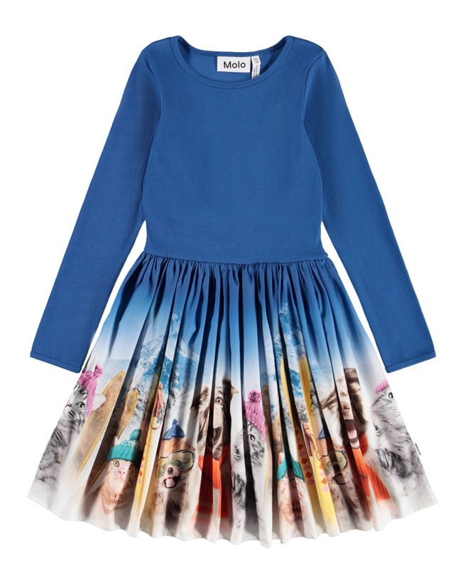 Casie Warm Ski Trip Dress