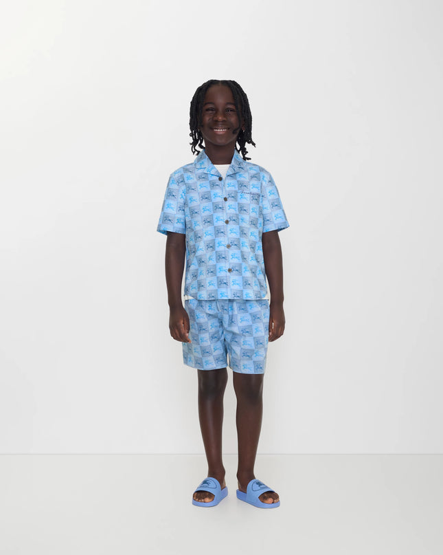 kids atelier burberry Cornflower Blue EKD Checkerboard Cotton Shirt