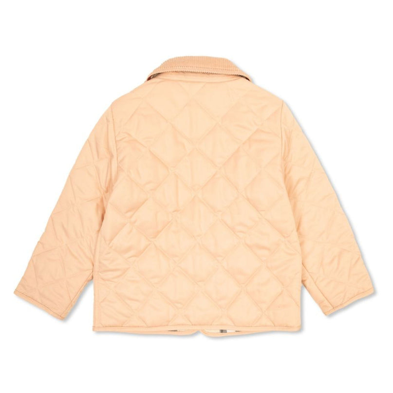 Burberry-APRICOT PINK-8094961-C:IG6 MN INDY:130597:A1451