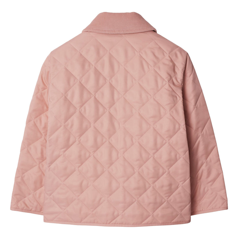 Burberry-APRICOT PINK-8094935-C:KG6 INDY:130597:A1451