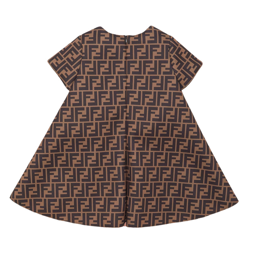 Brown & Pink Dress