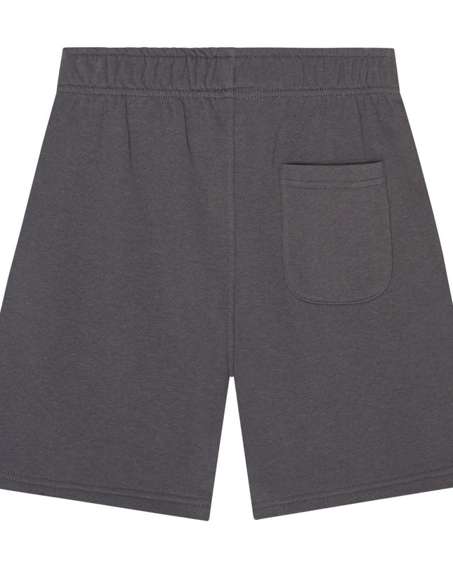 Gray Adian Shorts