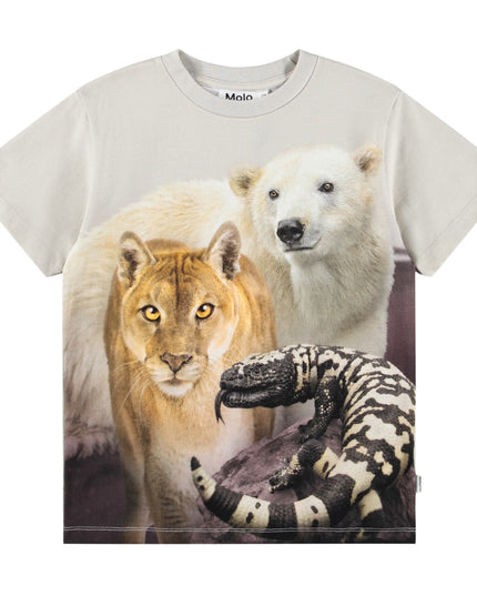 kids atelier molo Beige Riley Trio United T-Shirt