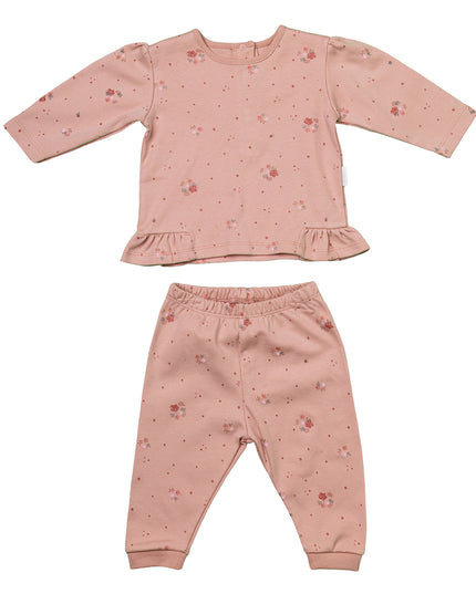 Andywawa-AC24365-OLD ROSE-2 PCS SET
