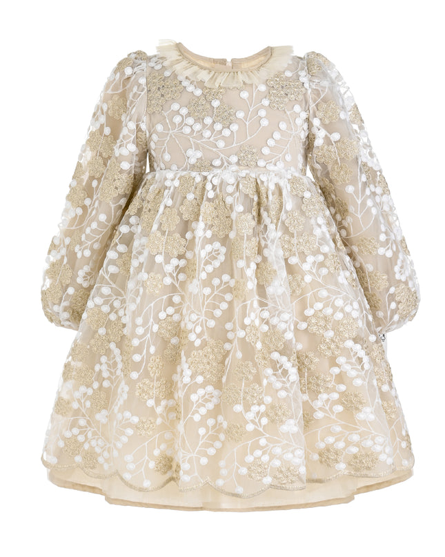kids atelier sweet cactus Champagne Floral Embroidered Dress